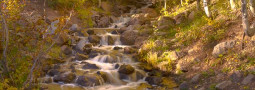 Smoke and Rain: Dreaming and Adapting on the Western Slope