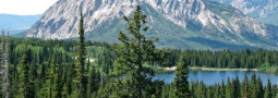 North Fork National Forests. So what is a GMUG?