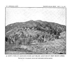 North Fork of the Gunnison River at Muddy Creek 1900